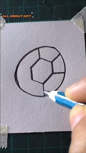 how to draw a turtle for beginners