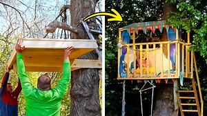 7.6K views · 55 reactions | Diy treehouse build: backyard transformation tips! | 5-Minute Crafts SHORTS | Facebook