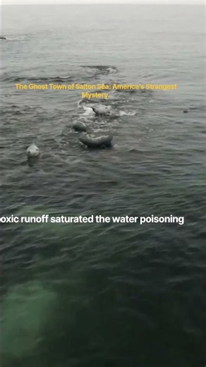 The City That Became a Poisonous Skeleton Overnight! | Salton Sea History #salton #caveofthemounds
