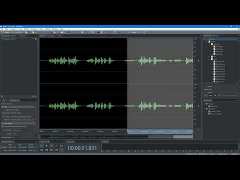 Managing Clip Source | Soundop Tutorials