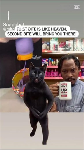 the like button turns into a cat when you like