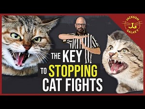 DON'T LET IT HAPPEN!