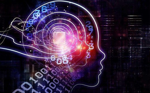 【paddlex全家桶】软件的安装与前期准备