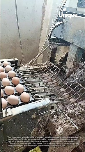 Eggs processing for beginners: a simple guide to processing eggs