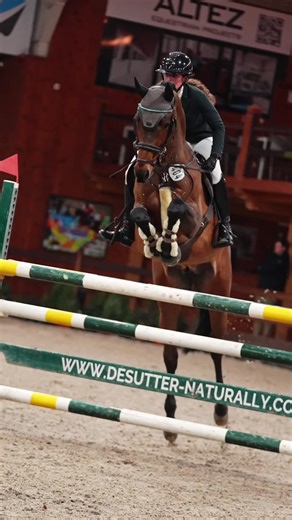 Show Jumping Tips for Equestrian Enthusiasts
