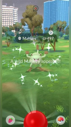 Caught a shiny Mankey in Pokémon GO and decided to evolve it into Primeape! ✨ #PokemonGO#ShinyMankey