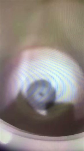 Mario in washing machine 💀#shorts #mario #funny #memes