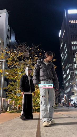 Stray Kids GIANT Dance Cover Tutorial