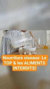 NOURRISSAGE DES OISEAUX : les aliments interdits !