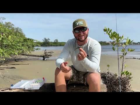 10 Best Snook Lures Right Now: Catch More Snook with These Artificial Baits