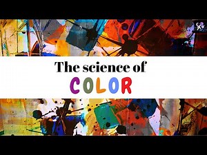 The Science of Color: How We See and Perceive Different Hues
