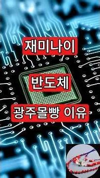 재미나이. 반도체 광주몰빵 이유