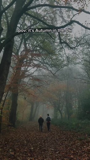 #fyp #autumn #yorkshire #uk #foryou