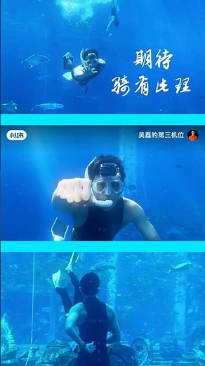 260526小红书更新 #吴磊 #wulei #ウーレイ #chineseactor