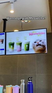 Happy National Matcha Day! 🍵✨ It's a sPAWcial day for matcha lovers and this is your sign to try the Meowtcha Series! 🐾 Let's go grab some Meowtcha? 💚 ZUS Coffee ☕ a Necessity, not a Luxury #zuscoffee #zuscoffeephilippines #MeowtchaSeries #ItsMeowtchaPo | ZUS Coffee Philippines