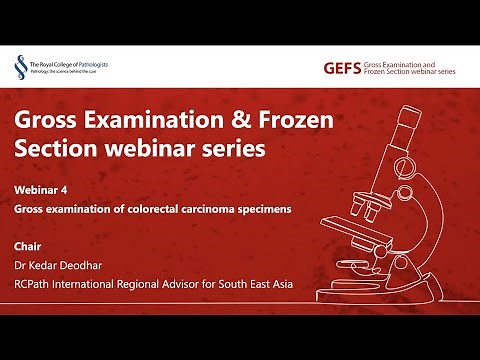 Gross examination of colorectal carcinoma specimens