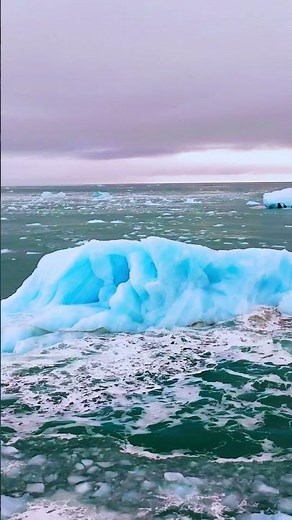 Icebergs Like You've Never Seen Before 🧊💙 Antarctica