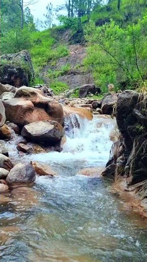 Relaxing Water Sounds | Nature Ambience for Sleep & Relaxation