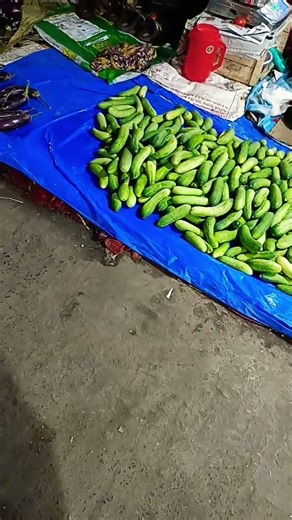 pyar pyar Karta #trending #viral #song #automobile #railvlogger #shortsfeed #funny #shorts #trending