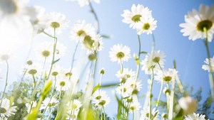 First day of spring arrives. Here's what you need to know about spring equinox