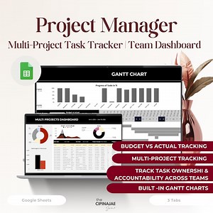 Project Management Template | Multi-project Task Tracker Google Sheets With Gantt Chart & Budget Dashboard - Etsy