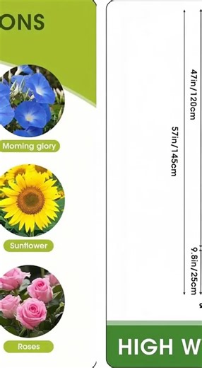 Three-Layer Tomato Planting Box for Busy Gardeners