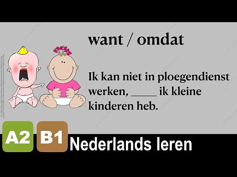 NT2 A2 5.04 Want of Omdat - Vul in - Oefeningen - NEDERLANDS LEREN - grammatica - Woordenschat B1