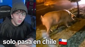 ¡Las caídas más graciosas y reacciones inesperadas! 😂 | Compilación de fails y humor