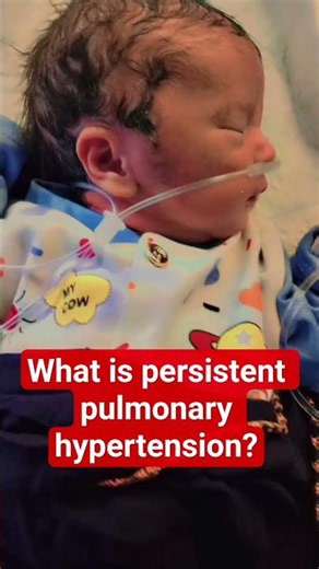 ❤️What is persistent pulmonary hypertension?❤️ #mednursern #hypertension #pulmonary