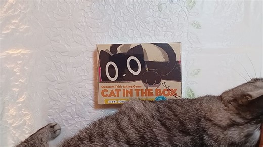 【高颜值桌游】盒中猫 开盒 讲规 试玩