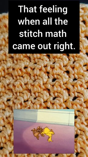 199 stitches wide with a diagonal stitch 🙃 I'm over counting for the day. #crochettiktok #crochet #crochetersoftiktok #crochetaddiction #crochettok