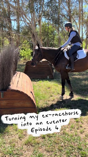 Transforming a Spooked Ex-Racehorse into an Eventer