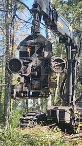 1.2K views · 19 reactions | Machine doing logging stuff 蝹 | Logger Mack | Facebook