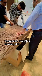 Controlled Hydroponic Project in Gwalior.madhya pradesh By DHAKAD HYDROPONIC | Arvind Dhakad
