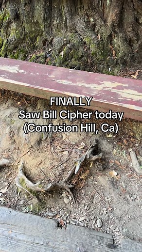 Exploring the Bill Cipher Statue at Confusion Hill, California