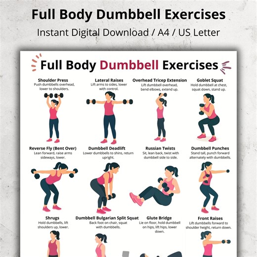 Full Body Dumbbell Workout Chart – Home Dumbbell Exercises, Printable Exercises Poster, Home Fitness Routine, Beginner Dumbbell Exercises - Etsy UK