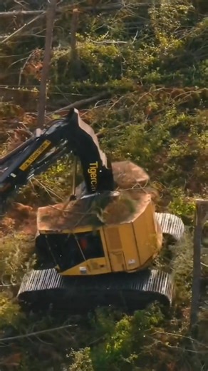 Hurricane Laura Clean Up From 2020 | Kelly Comedy | Facebook