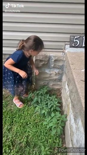 little girl steps on frog but amplified and frog sound.