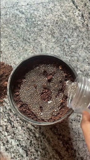 Planting Soaked Chia Seeds 🌱✨ | Grow Microgreens at Home Easily#microgreens #smallspacegarden