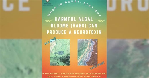 Harmful algal blooms spotted in Bear Paw Lake and Beaver Creek Reservoir