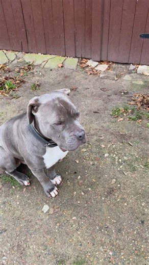 Nach 20 Jahren endlich wieder aus eigener Kraft ans Tageslicht! #opelmanta #classiccars #hallentv #oldtimer #classicopel | Hallen TV