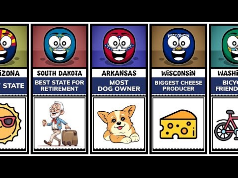 What Every US State Is The Best For