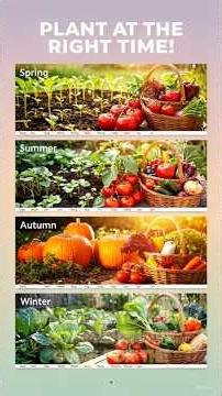 Month By Month Planting Guide