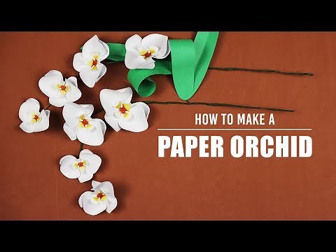 How to Make a Paper Orchid