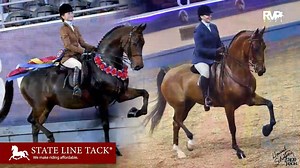 2025 Morgan Grand National - Friday Morning - Performance