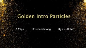 Golden Dust Particles Transition and Reveal