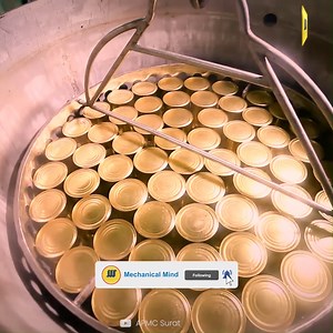 A Look Inside a Mango Processing Factory | Mechanical Mind