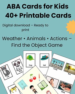 ABA Educational Cards for Kids – 40  Printable Cards | Weather, Animals, Actions | Find the Object Game - Etsy