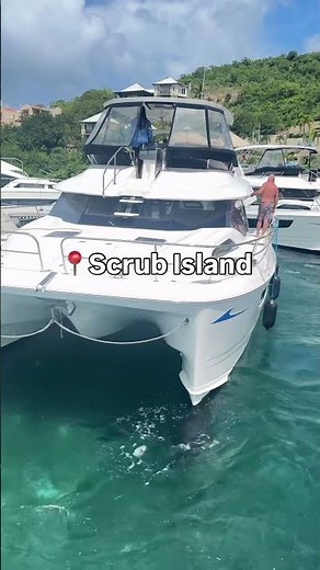 That's how you dock like a pro!