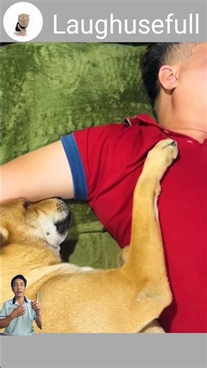 My Cute Puppy Sleeping With Dad